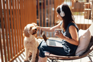 Clients with No Employer Retirement Plan?