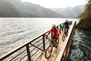 Zenith Growth 5 Is Here!