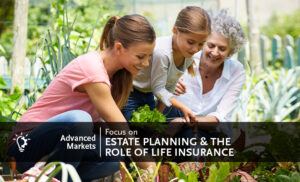 Estate Planning Done Right: Ensuring Assets Go Where They Belong