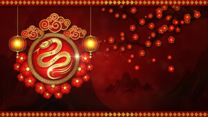 Happy Lunar New Year!